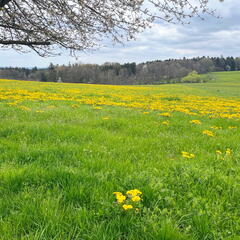 23-04-30 13-36-52 5241